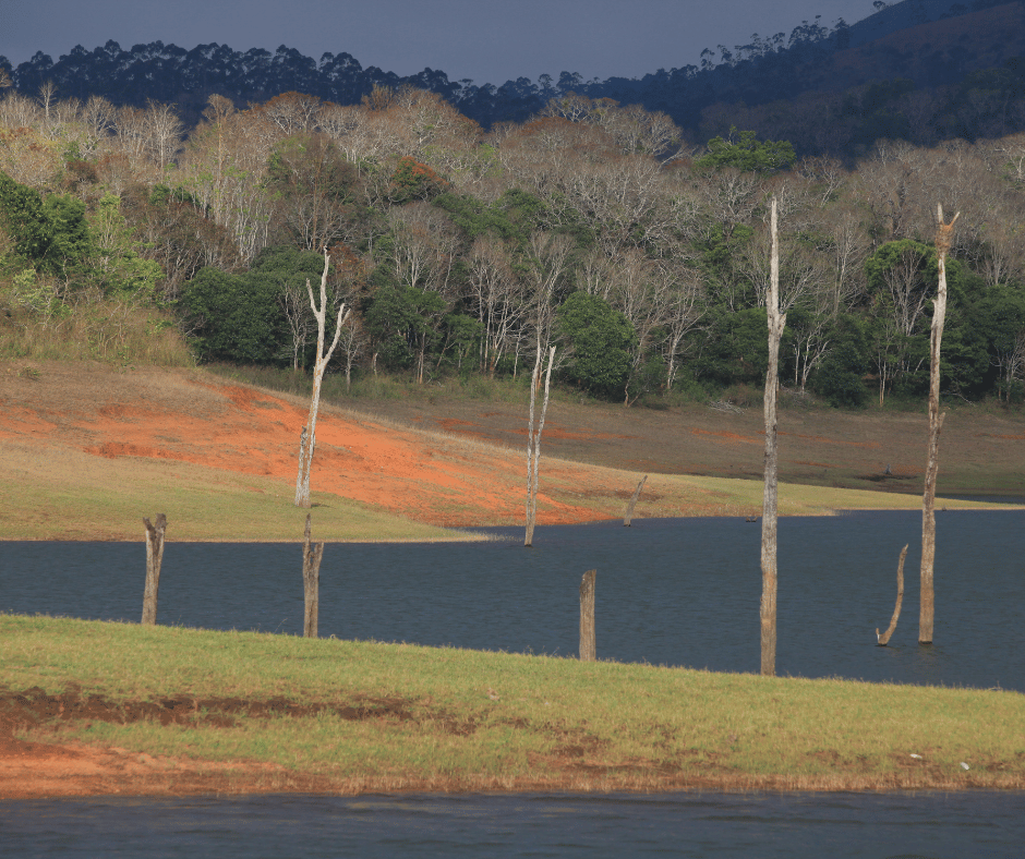 Periyar National Park